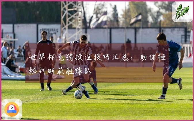 世界杯竞猜投注技巧汇总，助你轻松判断获胜球队