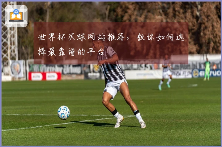 世界杯买球网站推荐，教你如何选择最靠谱的平台