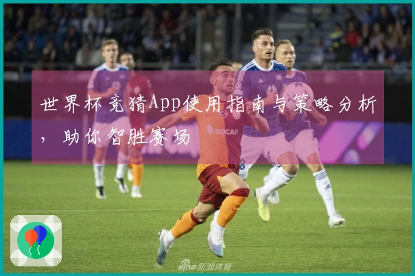世界杯竞猜App使用指南与策略分析，助你智胜赛场