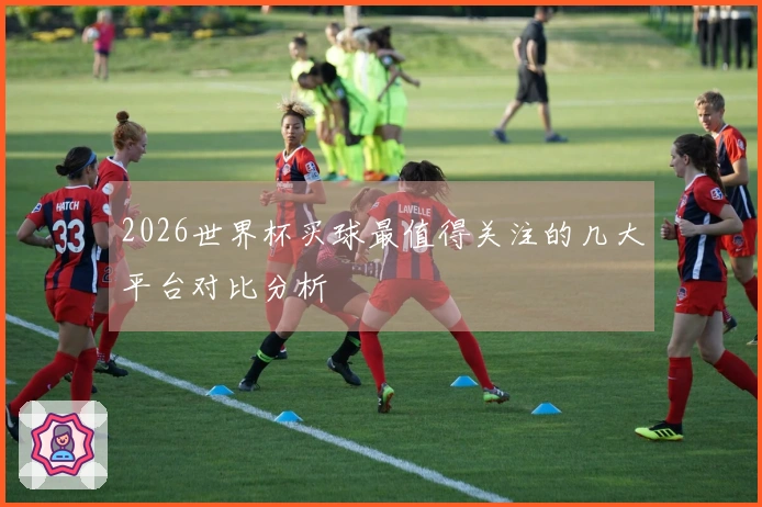 2026世界杯买球最值得关注的几大平台对比分析