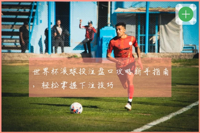 世界杯滚球投注盘口攻略新手指南，轻松掌握下注技巧